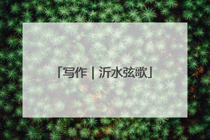 写作｜沂水弦歌