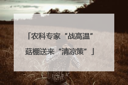 农科专家“战高温” 菇棚送来“清凉策”