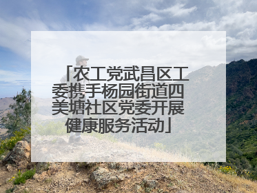 农工党武昌区工委携手杨园街道四美塘社区党委开展健康服务活动
