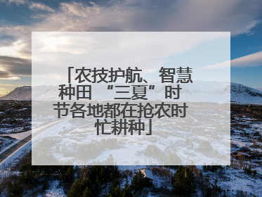 农技护航、智慧种田 “三夏”时节各地都在抢农时 忙耕种