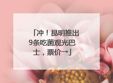 冲！昆明推出9条吃菌观光巴士，票价→