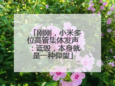 刚刚，小米多位高管集体发声：诋毁，本身就是一种仰望