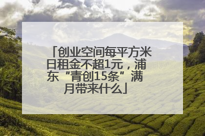 创业空间每平方米日租金不超1元，浦东“青创15条”满月带来什么