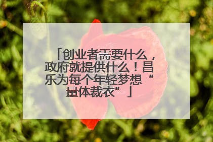 创业者需要什么，政府就提供什么！昌乐为每个年轻梦想“量体裁衣”