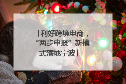 利好跨境电商，“两步申报”新模式落地宁波