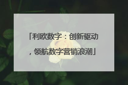 利欧数字：创新驱动，领航数字营销浪潮