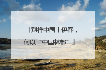 别样中国丨伊春，何以“中国林都”