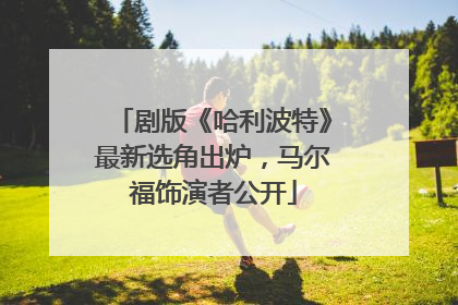 剧版《哈利波特》最新选角出炉，马尔福饰演者公开