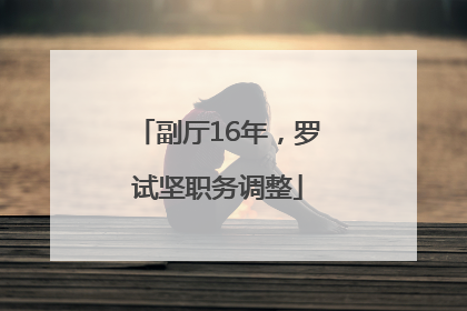 副厅16年，罗试坚职务调整