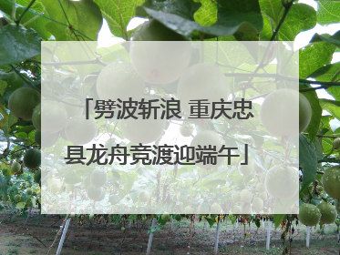 劈波斩浪 重庆忠县龙舟竞渡迎端午