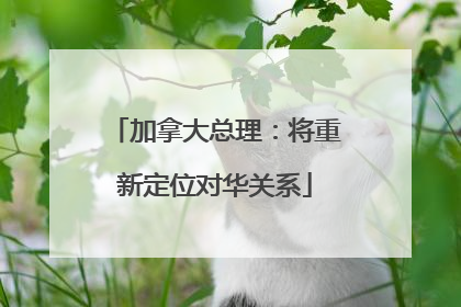加拿大总理：将重新定位对华关系