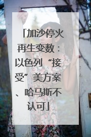 加沙停火再生变数：以色列“接受”美方案、哈马斯不认可