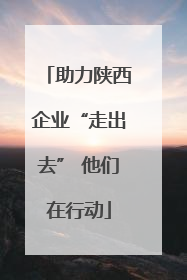 助力陕西企业“走出去” 他们在行动