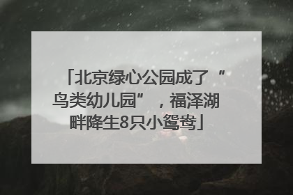 北京绿心公园成了“鸟类幼儿园”，福泽湖畔降生8只小鸳鸯
