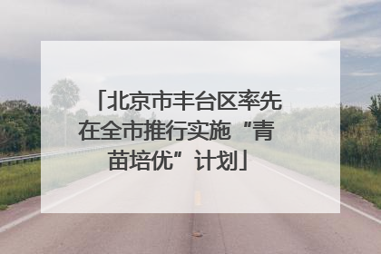 北京市丰台区率先在全市推行实施“青苗培优”计划
