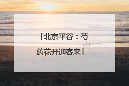 北京平谷：芍药花开迎客来
