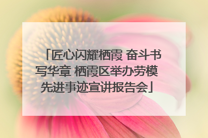 匠心闪耀栖霞 奋斗书写华章 栖霞区举办劳模先进事迹宣讲报告会