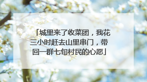 城里来了收菜团，我花三小时赶去山里串门，带回一群七旬村民的心愿