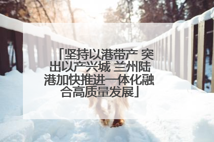 坚持以港带产 突出以产兴城 兰州陆港加快推进一体化融合高质量发展