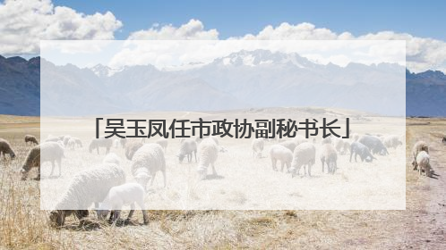 吴玉凤任市政协副秘书长