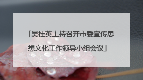 吴桂英主持召开市委宣传思想文化工作领导小组会议