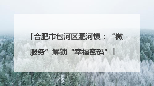 合肥市包河区淝河镇：“微服务”解锁“幸福密码”