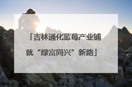 吉林通化蓝莓产业铺就“绿富同兴”新路