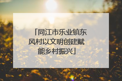 同江市乐业镇东风村以文明创建赋能乡村振兴