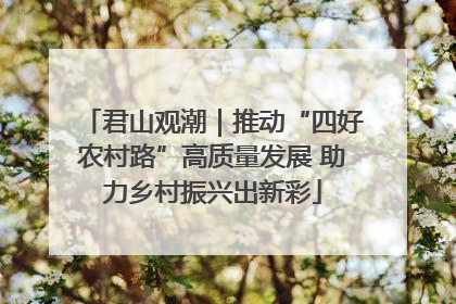 君山观潮｜推动“四好农村路”高质量发展 助力乡村振兴出新彩