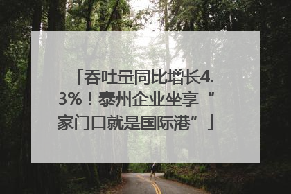 吞吐量同比增长4.3%！泰州企业坐享“家门口就是国际港”