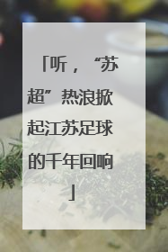 听，“苏超”热浪掀起江苏足球的千年回响
