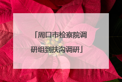 周口市检察院调研组到扶沟调研