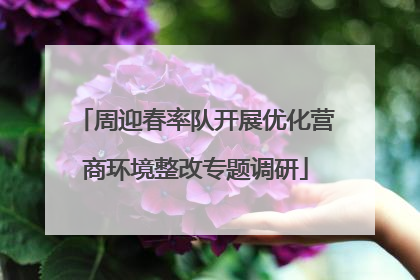 周迎春率队开展优化营商环境整改专题调研