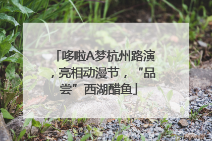 哆啦A梦杭州路演，亮相动漫节，“品尝”西湖醋鱼
