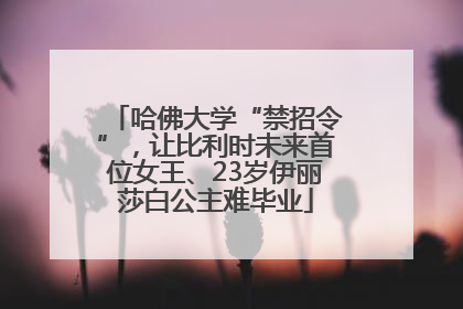 哈佛大学“禁招令”，让比利时未来首位女王、23岁伊丽莎白公主难毕业