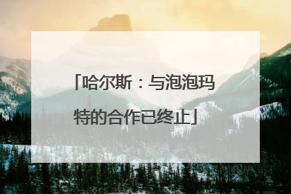 哈尔斯：与泡泡玛特的合作已终止