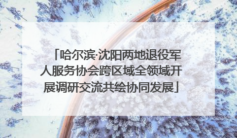 哈尔滨·沈阳两地退役军人服务协会跨区域全领域开展调研交流共绘协同发展