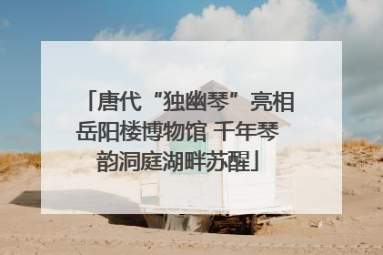 唐代“独幽琴”亮相岳阳楼博物馆 千年琴韵洞庭湖畔苏醒