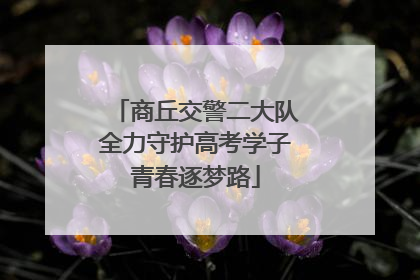 商丘交警二大队全力守护高考学子青春逐梦路