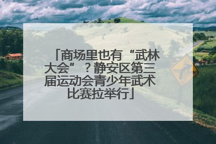 商场里也有“武林大会”？静安区第三届运动会青少年武术比赛拉举行