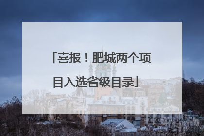 喜报！肥城两个项目入选省级目录