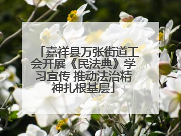 嘉祥县万张街道工会开展《民法典》学习宣传 推动法治精神扎根基层