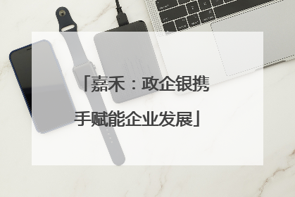 嘉禾：政企银携手赋能企业发展