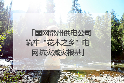 国网常州供电公司筑牢“花木之乡”电网抗灾减灾根基