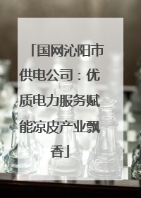国网沁阳市供电公司：优质电力服务赋能凉皮产业飘香