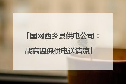 国网西乡县供电公司：战高温保供电送清凉