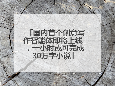 国内首个创意写作智能体即将上线，一小时或可完成30万字小说