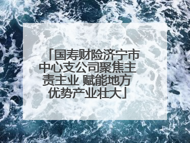 国寿财险济宁市中心支公司聚焦主责主业 赋能地方优势产业壮大