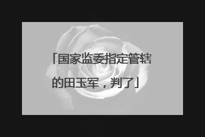 国家监委指定管辖的田玉军，判了