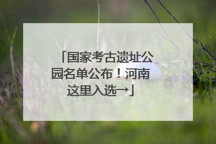国家考古遗址公园名单公布！河南这里入选→
